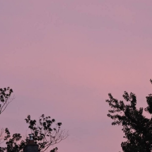 白丝护士爽到疯狂潮喷好爽网站
